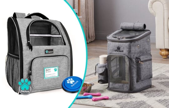 14 Best Backpack Dog Carriers for Travel