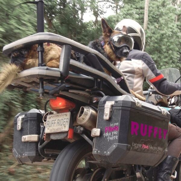Ruffly Dog Carrier